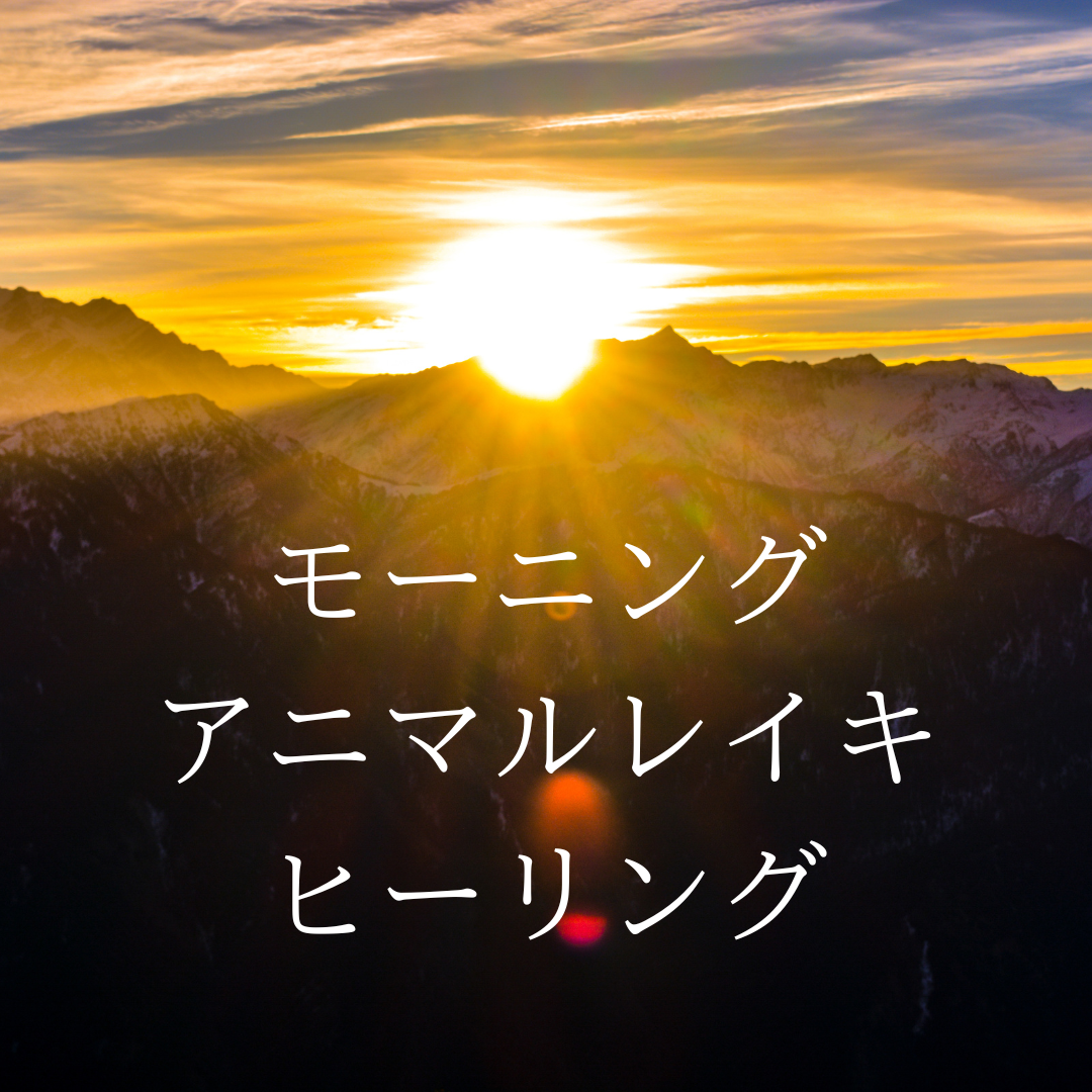 スピリチュアル千の光 Jp